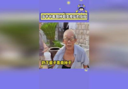娱乐吃瓜搞笑剪辑视频下载,带你领略网友脑洞大开的创意瞬间