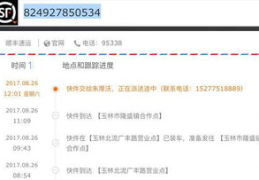 顺丰单号查询跟踪,实时掌握包裹动态，无忧快递体验指南