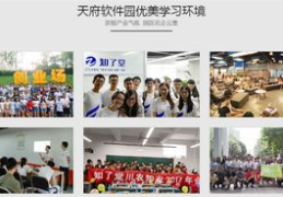 成都软件培训学校