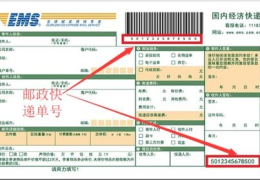 中国邮局快递查询单号,轻松掌握包裹动态，便捷追踪物流信息