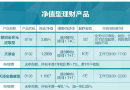 招商银行的理财产品,多元化投资，财富稳健增值