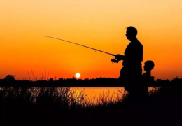 娱乐吃瓜钓鱼视频大全下载