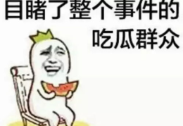 娱乐吃瓜酱的作品真诚才是必杀计,娱乐吃瓜酱的“必杀计”揭秘