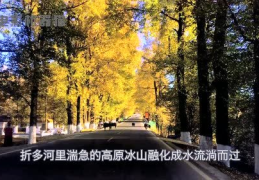 娱乐吃瓜君的作品,揭秘娱乐圈那些不为人知的幕后故事