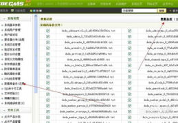 dede整站源码,构建高效网站的奥秘解析