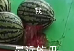 吃瓜在线,揭秘娱乐圈幕后故事，带你领略明星真实生活